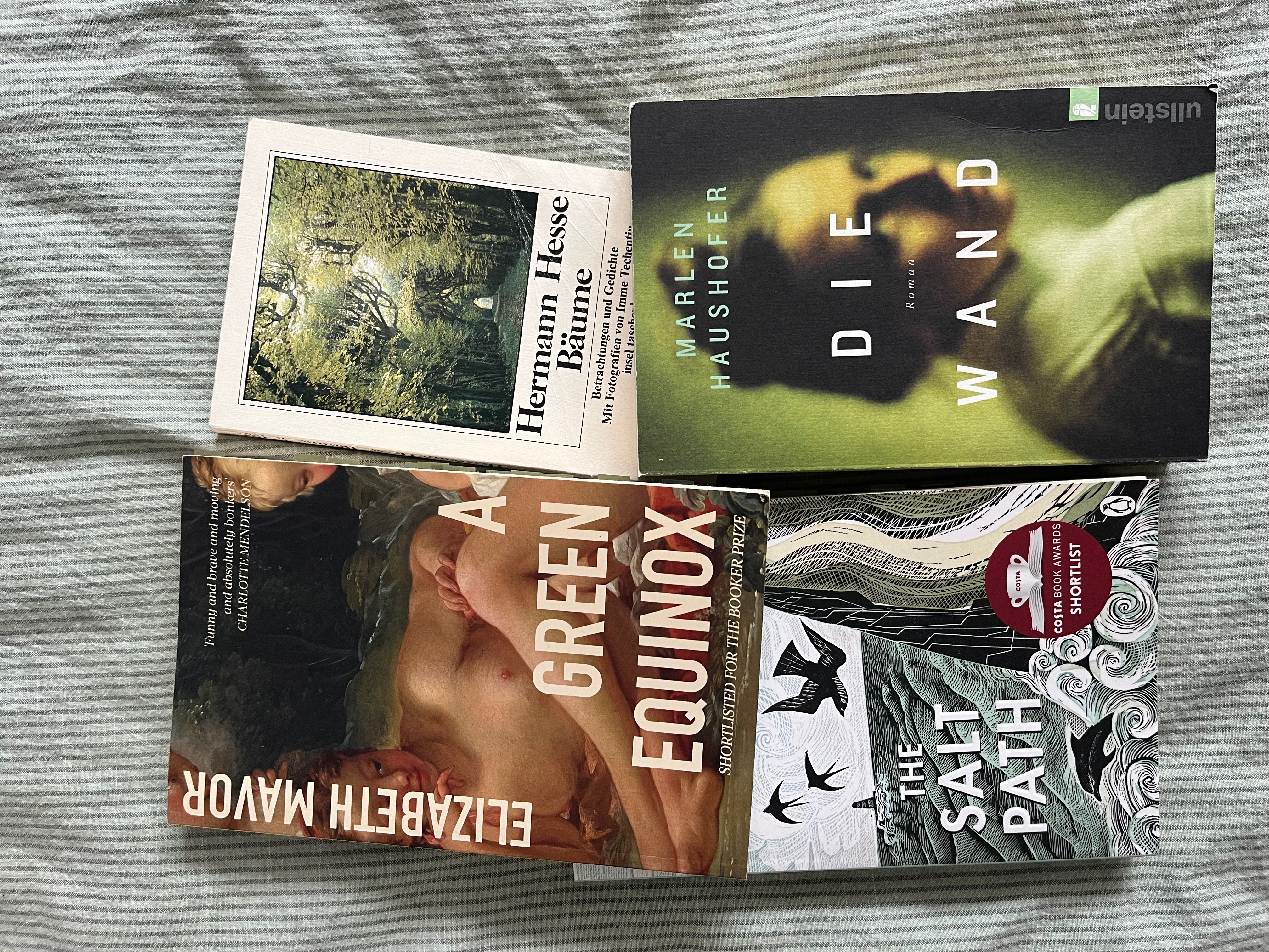Vier Bücher liegen auf einer gestreiften Decke