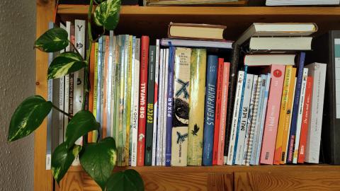 Bücherregal